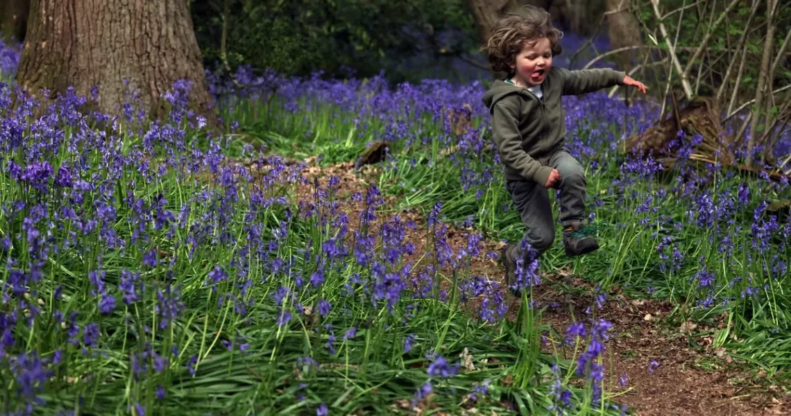 Top Somerset Walks: Embrace Sunshine & Scenic Views