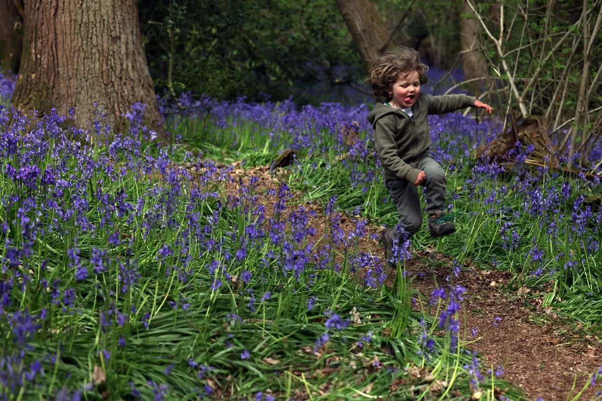 Top Somerset Walks: Embrace Sunshine & Scenic Views