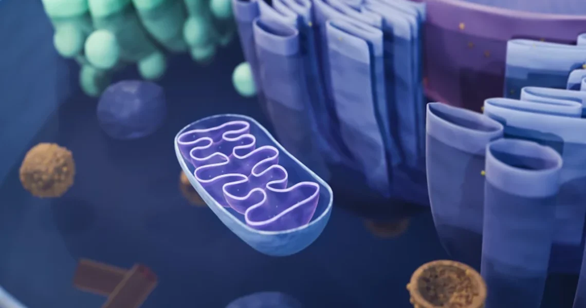 3-Parent DNA: Preventing Inherited Disease