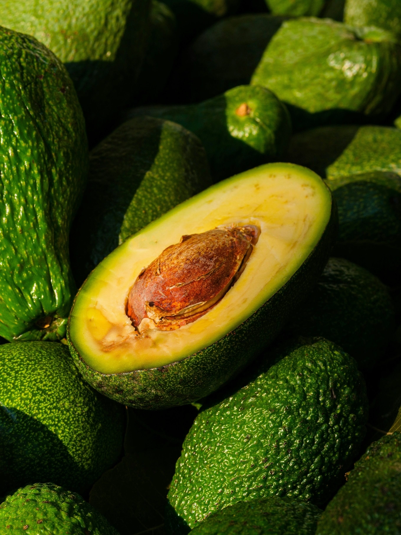 9 Surprising Health Benefits of Eating Avocados